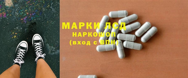 шишки Аркадак