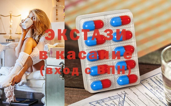 шишки Аркадак