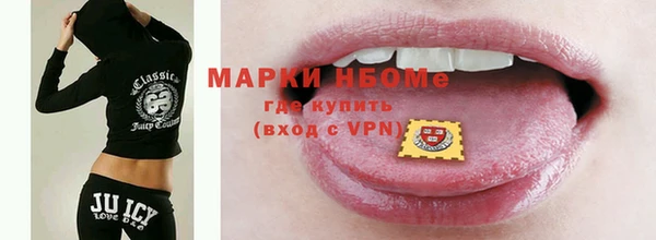 шишки Аркадак