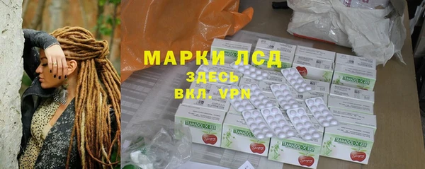 шишки Аркадак