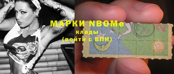 шишки Аркадак