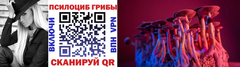 Псилоцибиновые грибы мицелий  Усть-Илимск 